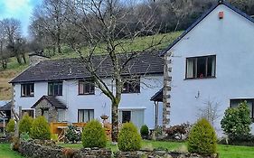 Neuadd Wen Guest House Carmarthen Exterior photo