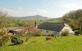 Bryn Hebog Bed & Breakfast Carmarthen Exterior photo