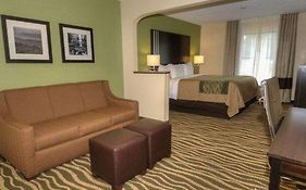 Comfort Inn Marion Room photo