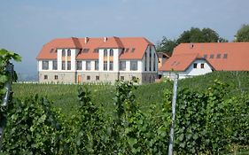 Weingut Taggenbrunn Hotel Sankt Veit an der Glan Exterior photo