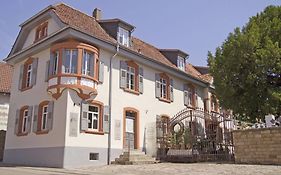 Villa Delange Landau in der Pfalz Exterior photo