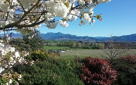 Omaka Heights Countrystay Renwick Exterior photo