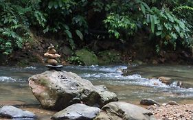 Rain Forest Guest House Bukit Lawang Exterior photo