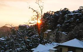 The Thistle Lodge Shimla Exterior photo