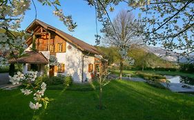 Villa Anna Bad Goisern Am Hallstattersee Exterior photo