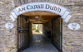 An Capall Dubh B&B Dingle Exterior photo