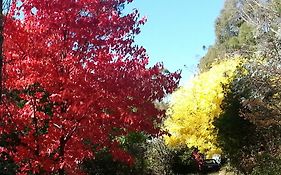 Abelia Cottage Of Daylesford Botanical Exterior photo