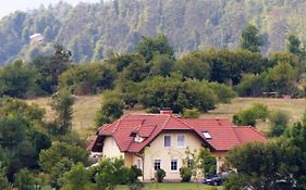 Bed And Breakfast Trnje Pivka Exterior photo