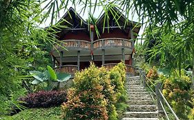 Hotel Orangutan Bukit Lawang Exterior photo