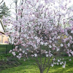 Carrousel Bed & Breakfast Bed & Breakfast Cayuga Exterior photo