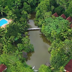 Pousada Salve Floresta Hotel Tapirai Exterior photo