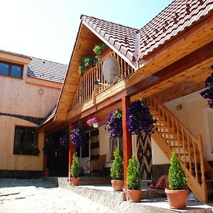 Pensiunea Iulia Bed & Breakfast Rod Exterior photo