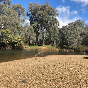 Beltie Park Homestead Wangaratta Exterior photo