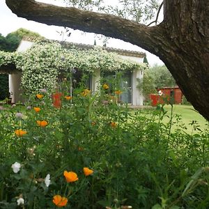 Studio Au Coeur De La Petite Camargue Bed & Breakfast Beauvoisin  Exterior photo