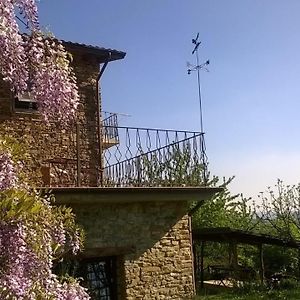 B&B La Civetta Ponzone Exterior photo