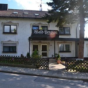 Waldpension Bed & Breakfast Regenstauf Exterior photo