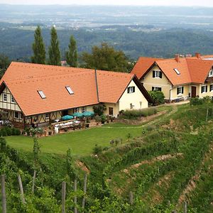 Weingut Albert, Familie Cramer Bed & Breakfast Kitzeck im Sausal Exterior photo