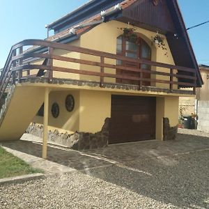 Casa Vlasea Albesti Sighisoara Bed & Breakfast Exterior photo