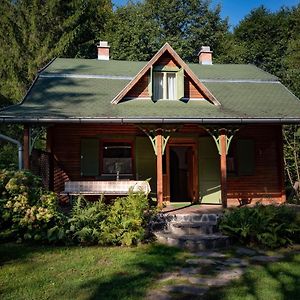 Zsuzsi-Lak Villa Sub Cetate Exterior photo