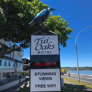 Tui Oaks Motel Taupo Exterior photo