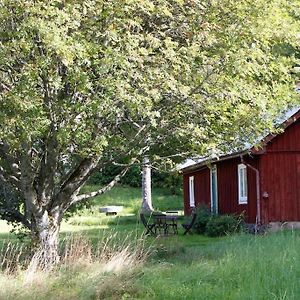 Lilla Halaengen Cottages Dalskog Exterior photo