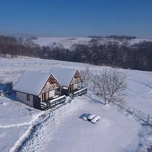 Apartamenty Zywiec Exterior photo