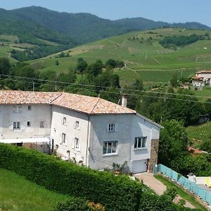 Les Picorettes Hotel Vaux-en-Beaujolais Exterior photo