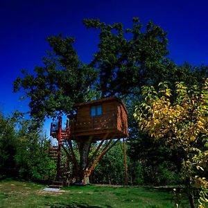 Casa Sull'Albero Bocchineri Bed & Breakfast Rogliano Exterior photo