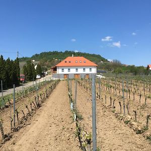 Somlo Kolonics Kuria Hotel Somlovasarhely Exterior photo