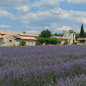 Le Mas Des Lavandes Bed & Breakfast Sault-de-Vaucluse Exterior photo