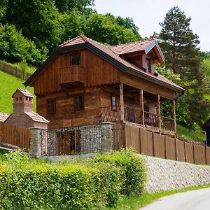 Vila Trnoruzica Villa Tuhelj Exterior photo