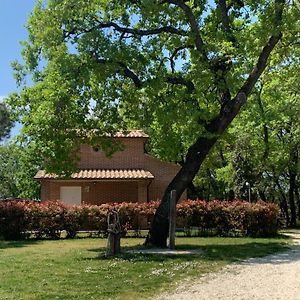 Casina Miriano Villa Castiglione del Lago Exterior photo