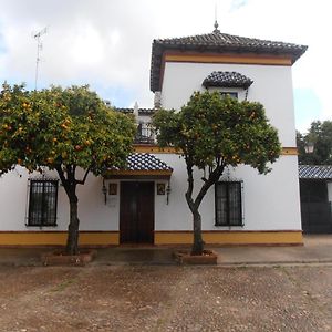 Apartamento Plaza De Toros Apartment Jerez De Los Caballeros Exterior photo