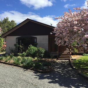 Chris'S Cabin Villa Greytown Exterior photo