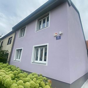 Einfamillienhaus Apartment Rustenfeld Exterior photo