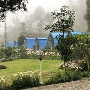 Bromo Camp House Hotel Exterior photo