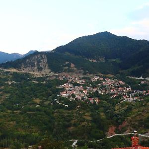 Baou House 1 Apartment Metsovo Exterior photo