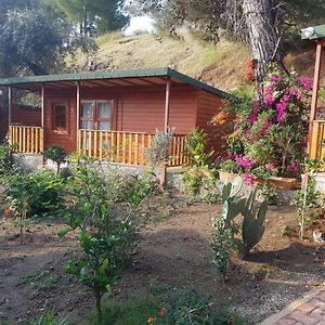 Ipek Hotel Camyuva Exterior photo