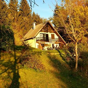 Alpinejka House Villa Trzic Exterior photo