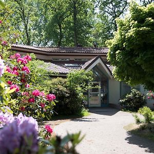 Hotel Heidenauer Hof Heidenau  Exterior photo