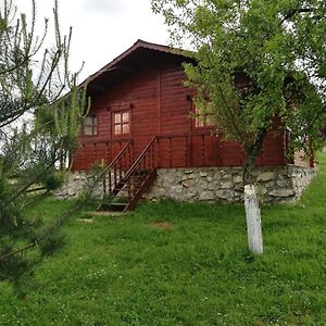 Pensiunea Gernik 100 Hotel Garnic Exterior photo