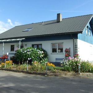 Haus Edeltraud: Tranquil Black Forest Retreat with Cycling Apartment Rheinfelden  Exterior photo