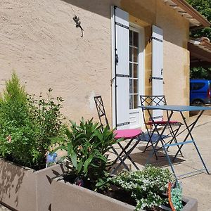 Le Bois Du Bournat Bed & Breakfast Saint-Avit-Senieur Exterior photo