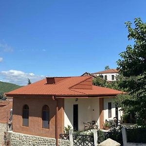 Ani-A Apartment Sighnaghi Exterior photo