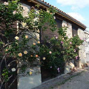 La Maison Des Herons Bed & Breakfast Le Vanneau-Irleau Exterior photo