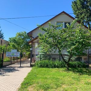 Villa Viktoria Nyiregyhaza Exterior photo