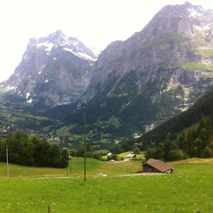 Romantisches Plaetzchen In Der Natur Apartment Grindelwald Exterior photo