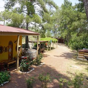 Olympos Tanrilar Kulubu Hotel Exterior photo