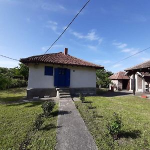 Etno Selo Dimitrijevic Villa Arandjelovac Exterior photo