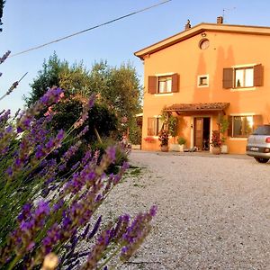 Locanda Della Lavanda Hotel San Clemente  Exterior photo